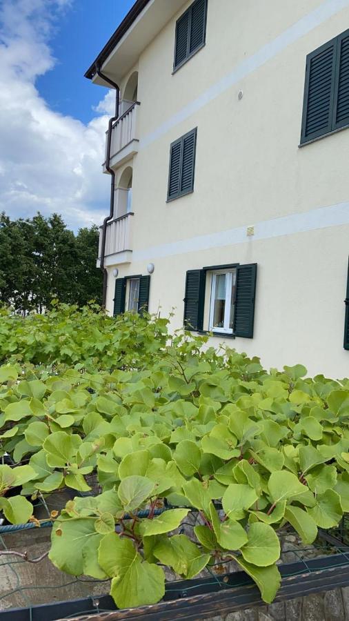 Vila Luca Island Krk / Malinska Esterno foto